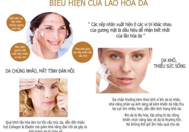 DẤU HIỆU CỦA SỰ LÃO HOÁ